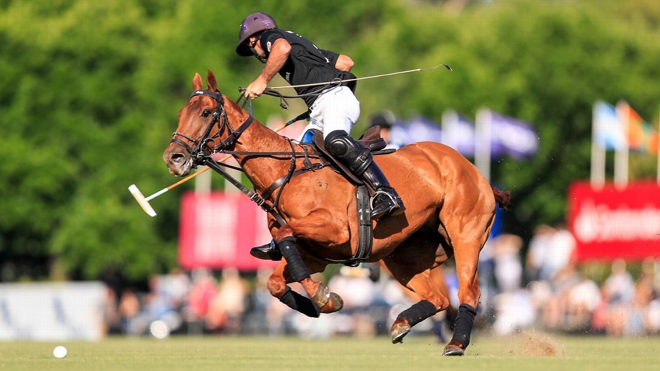 ELLERSTINA 12  11 LA DOLFINA