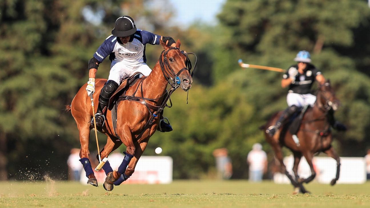 ELLERSTINA 12  11 LA DOLFINA