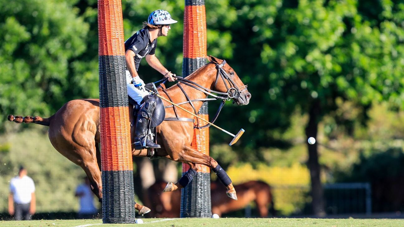 ELLERSTINA 12  11 LA DOLFINA