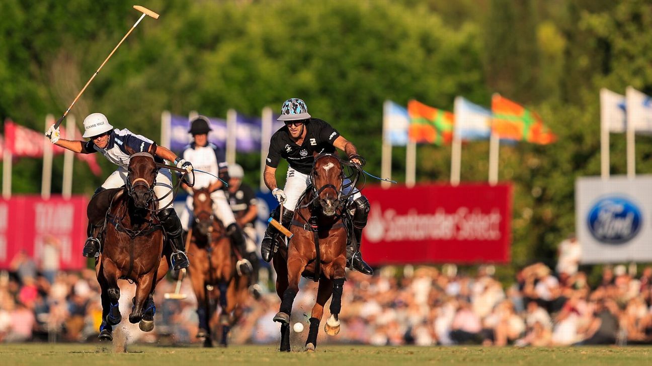 ELLERSTINA 12  11 LA DOLFINA