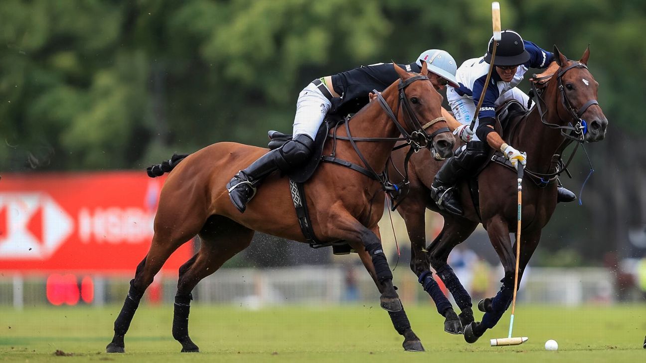 LA DOLFINA 16 - 12 ELLERSTINA