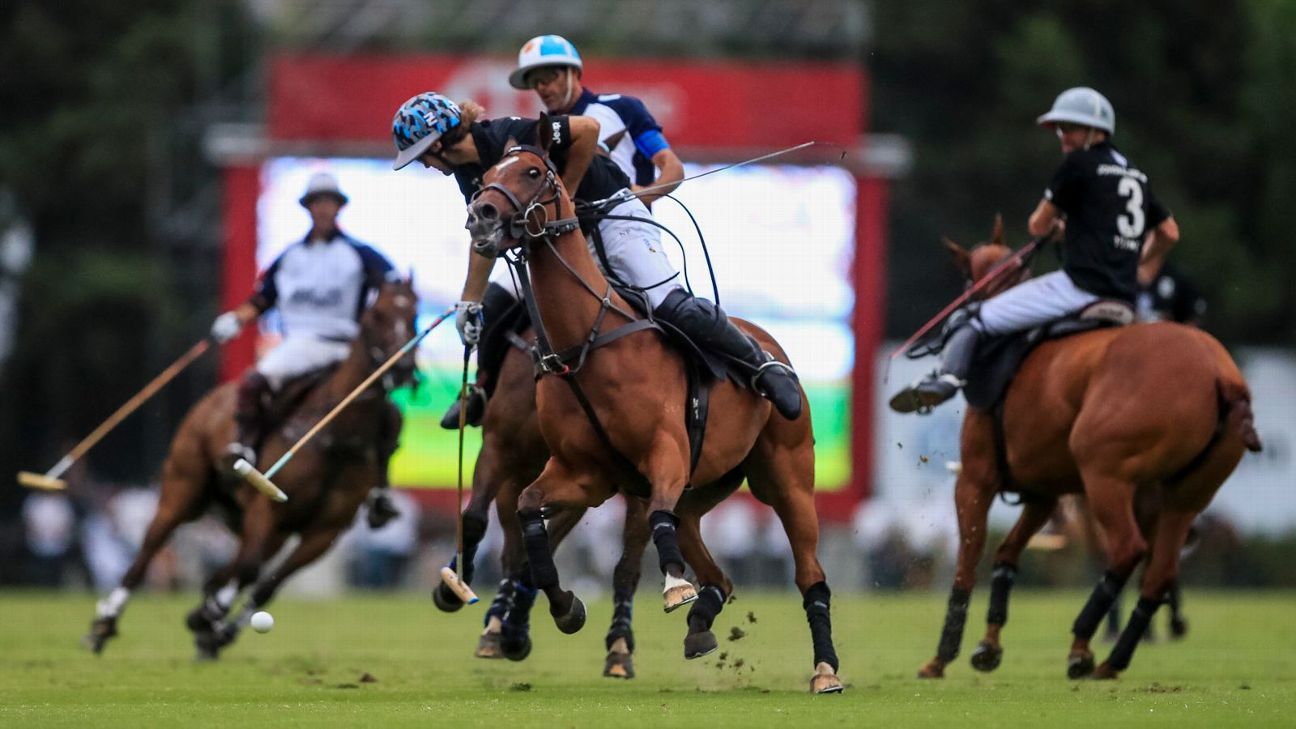 LA DOLFINA 16 - 12 ELLERSTINA