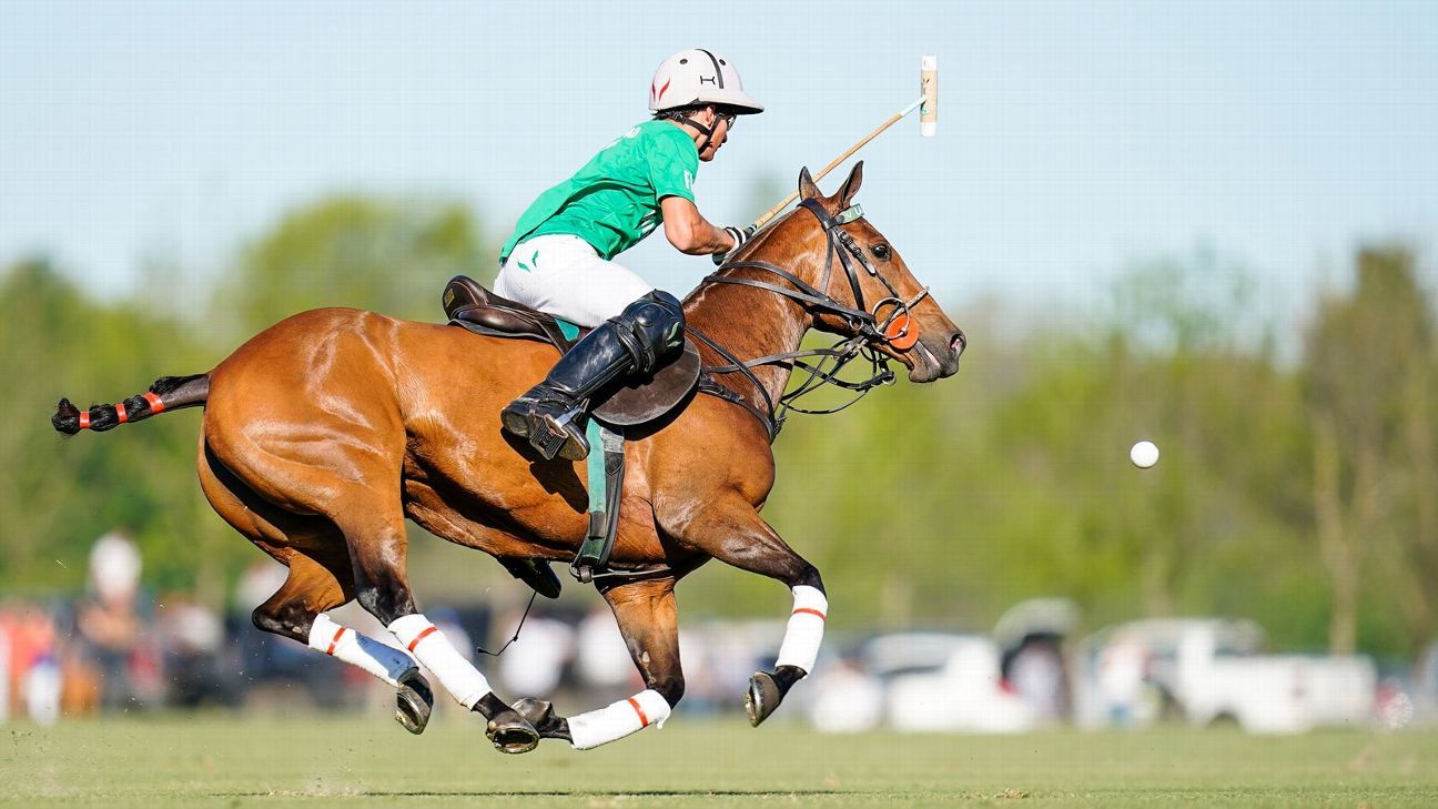 LA ENSENADA 12 - 10 LA NATIVIDAD