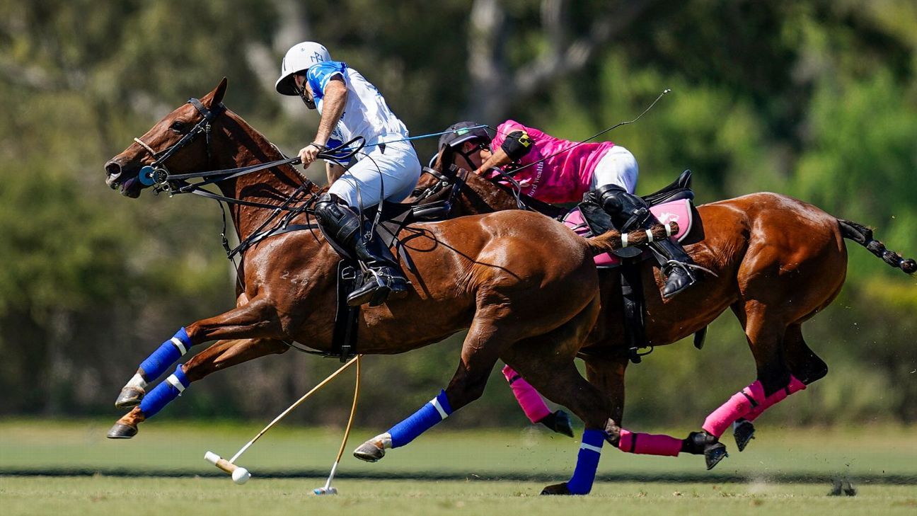 Ellerstina 23 - 7 Alegr�a