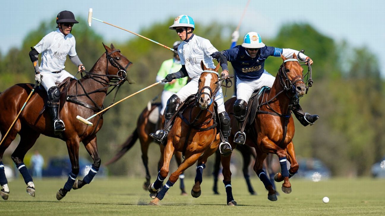 ProFocus/Fernando S�nchez Checa