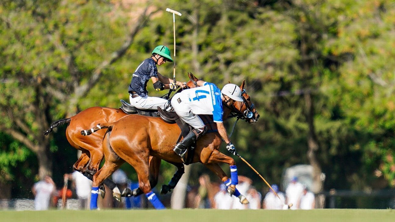 ELLERSTINA 12 - 8 LA ENSENADA