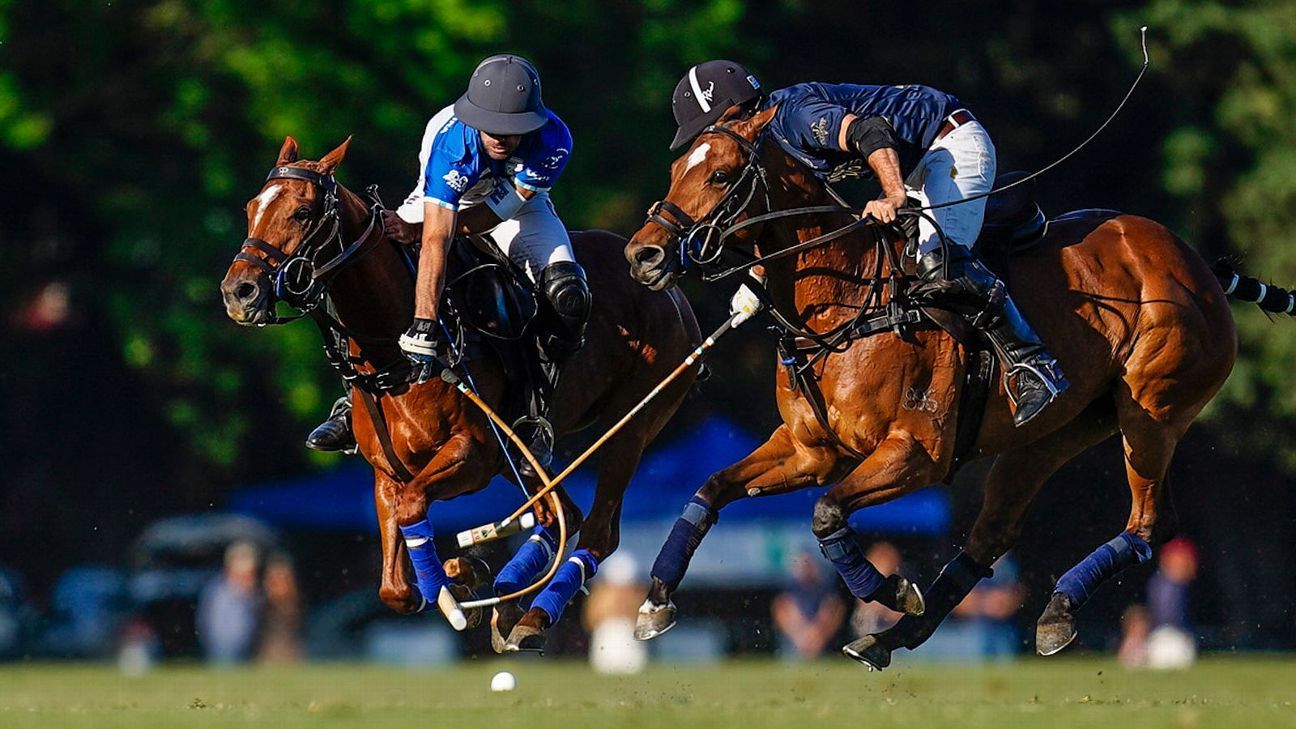 ELLERSTINA 11 - 9 LA DOLFINA
