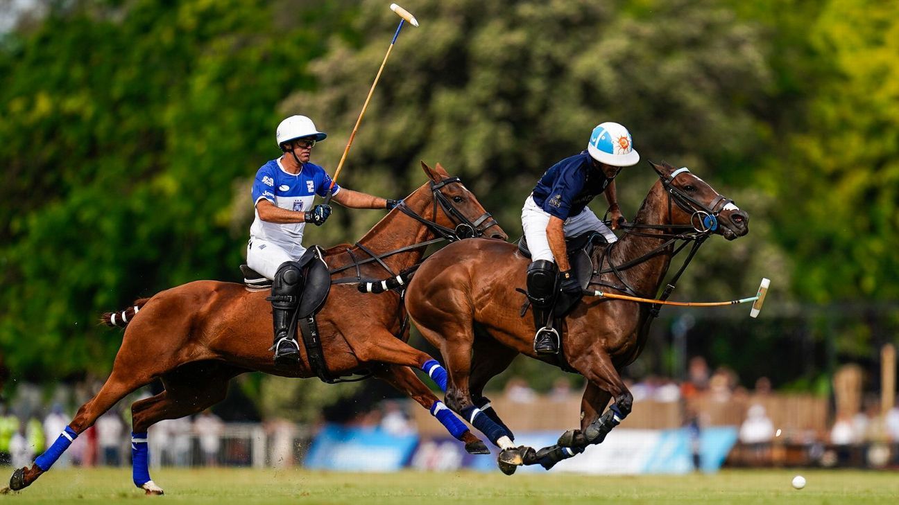 LA DOLFINA 16 - 14 ELLERSTINA