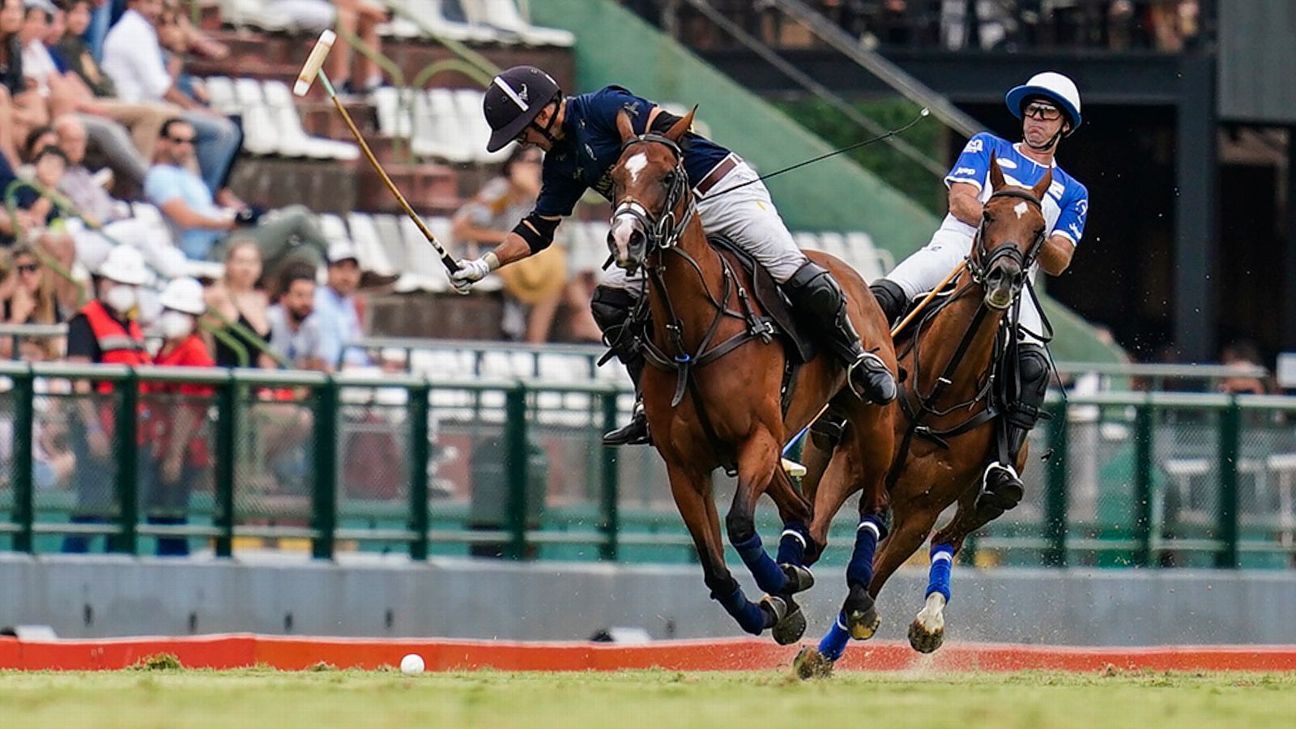 LA DOLFINA 16 - 14 ELLERSTINA