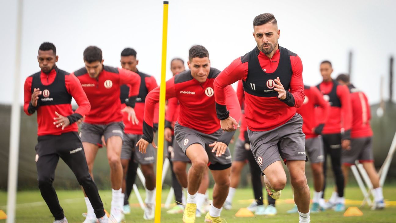 Los puestos que busca reforzar Universitario en el 2023