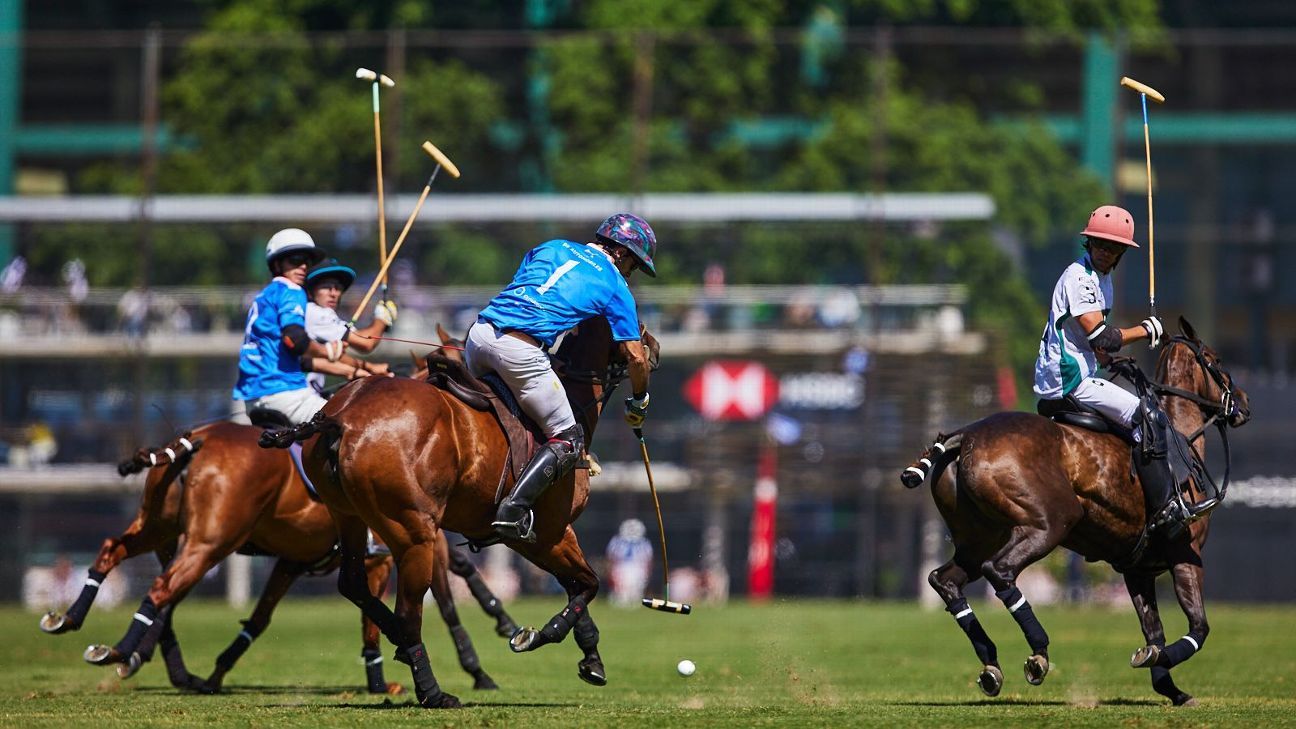 LA ENSENADA RS MURUS SANCTUS 19 v 12 LA HACHE