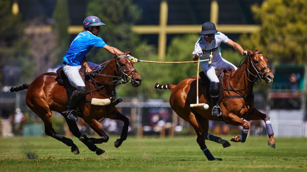LA ENSENADA RS MURUS SANCTUS 19 v 12 LA HACHE