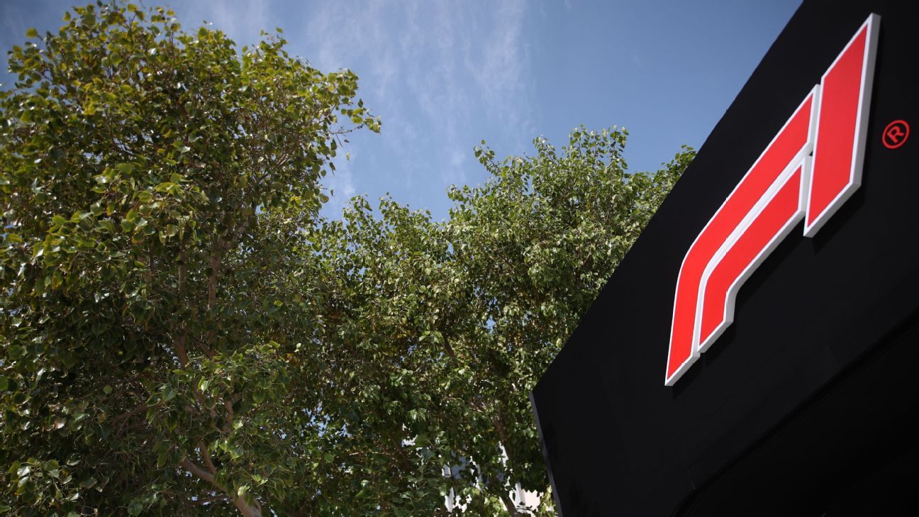 Previo F1: El orden de la parrilla de cara al inicio de temporada