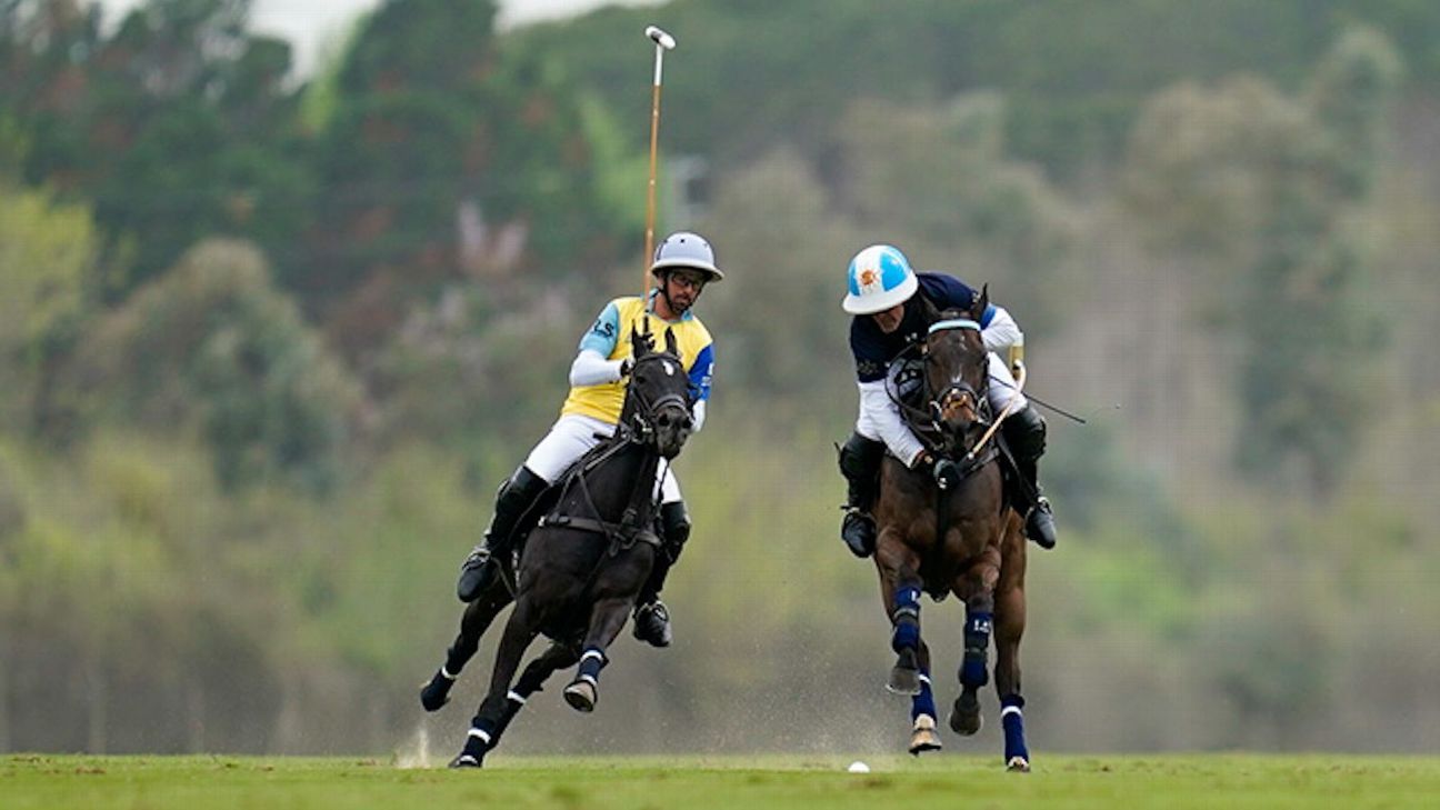 LA DOLFINA 22 v 5 LA IRENITA