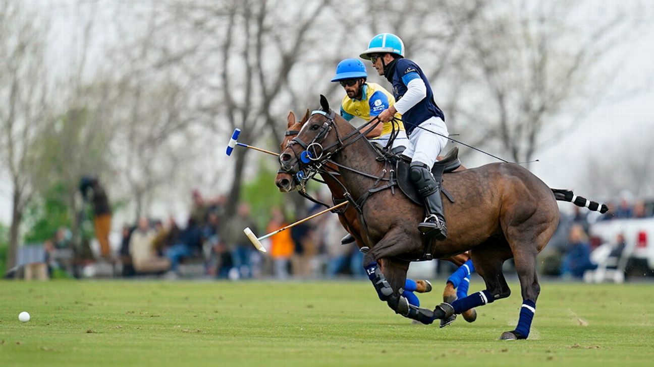 LA DOLFINA 22 v 5 LA IRENITA