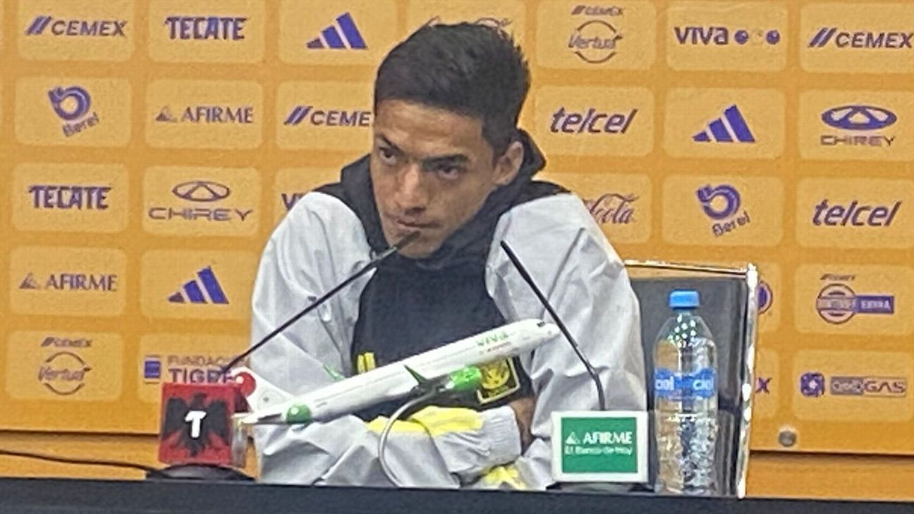 Fulgencio quiere dejar problemas personales para rendir en Tigres - ESPN