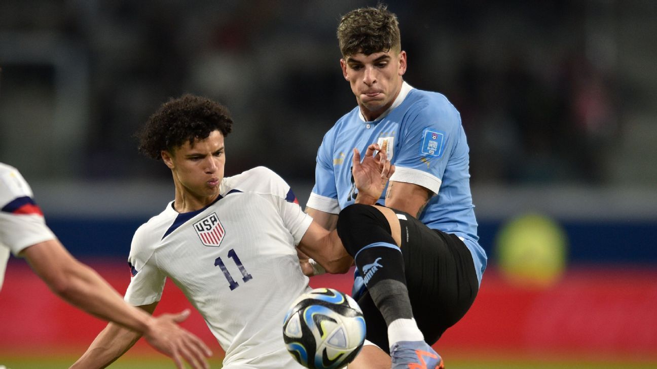 Bielsa convocó a Santiago Homenchenko, Luciano Rodríguez y Mateo Antoni para los preparativos rumbo al Preolímpico - ESPN