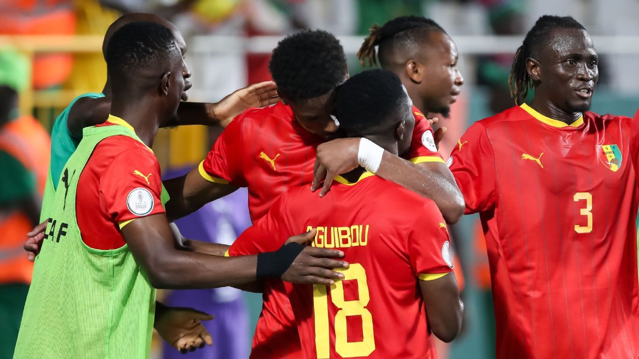 Guinea FA urge fans calm after six die in AFCON celebrations - ESPN