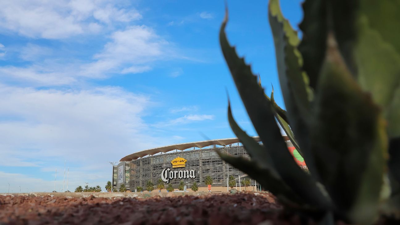 Fuentes: Liga MX estudia no sancionar a Santos tras incidente afuera del TSM - ESPN