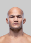 Junior dos Santos