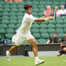 Wimbledon contenders