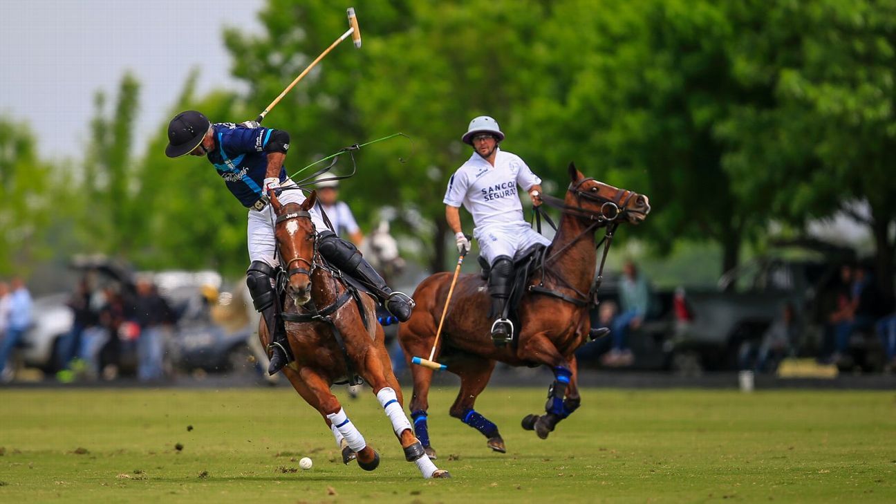 LA DOLFINA POLO RANCH 14  LA ESQUINA 6