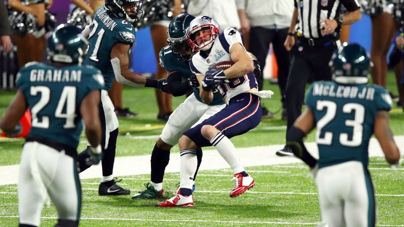 Danny Amendola, WR, New England Patriots
