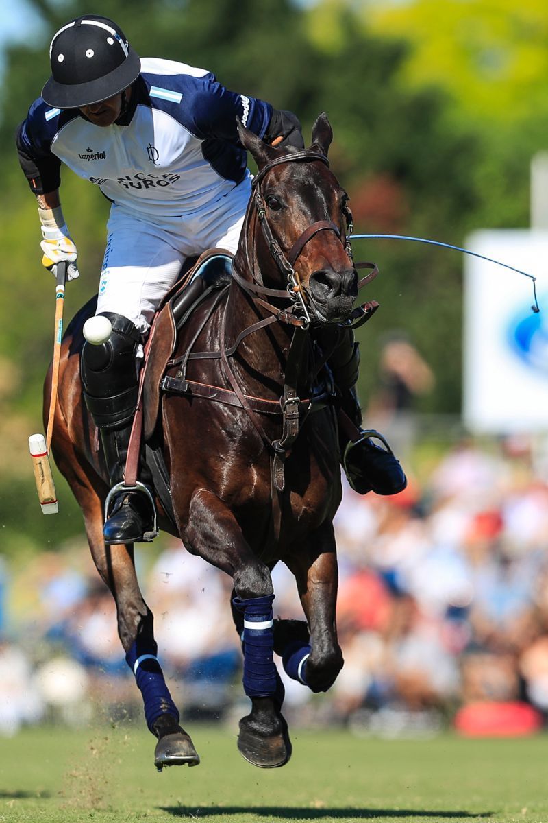 LA DOLFINA 11  ELLERSTINA 9