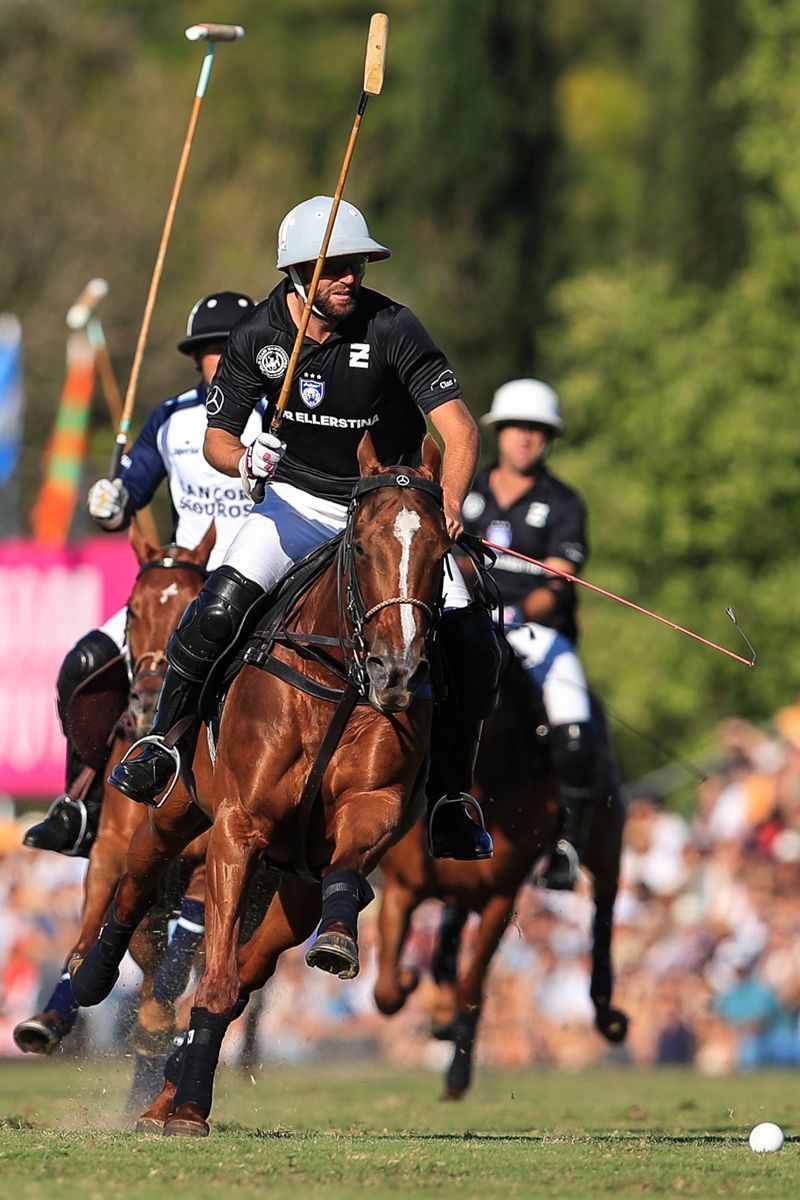 LA DOLFINA 11  ELLERSTINA 9