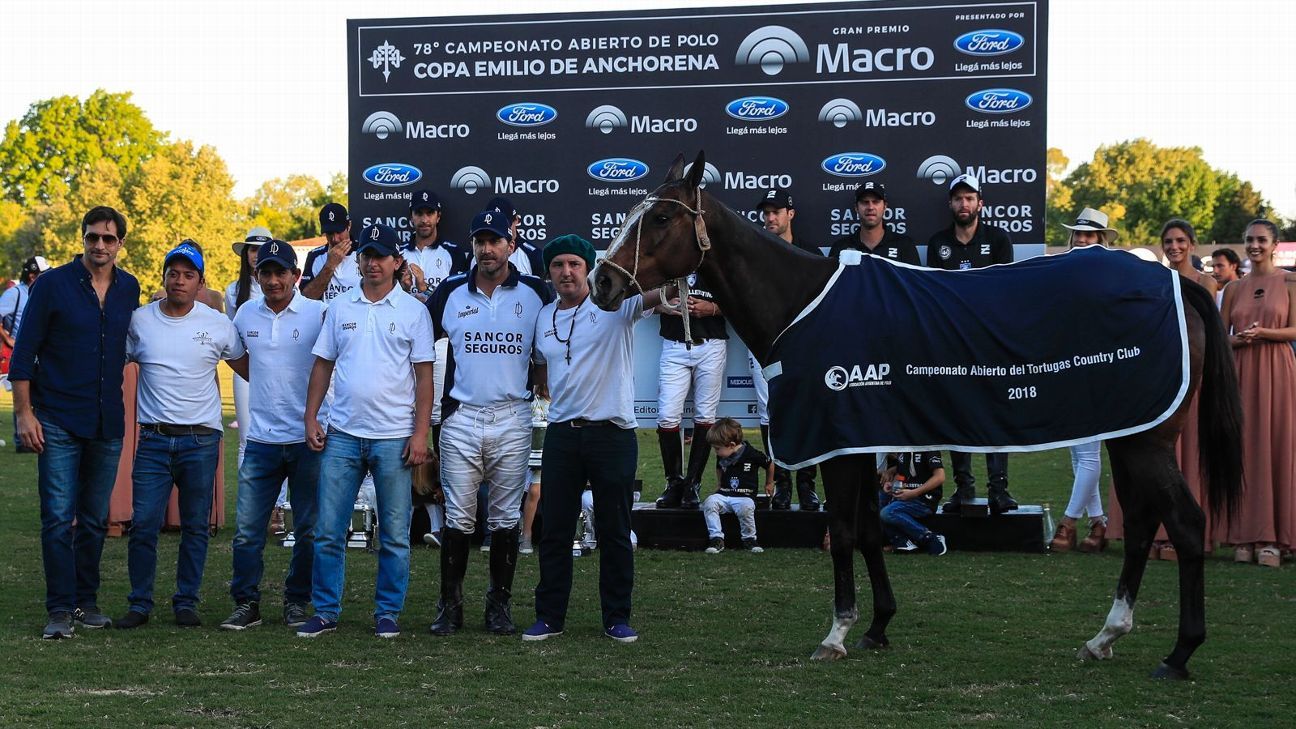 LA DOLFINA 11  ELLERSTINA 9