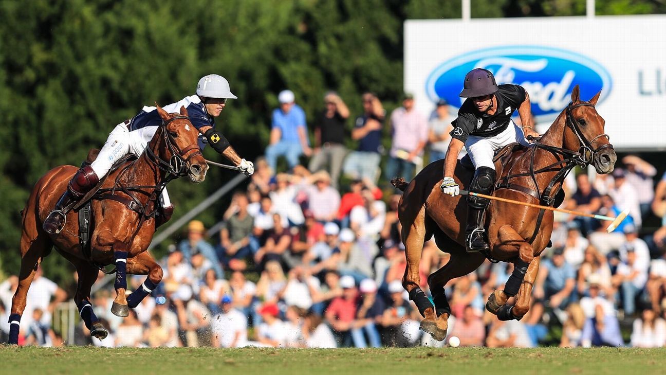LA DOLFINA 11 - ELLERSTINA 9