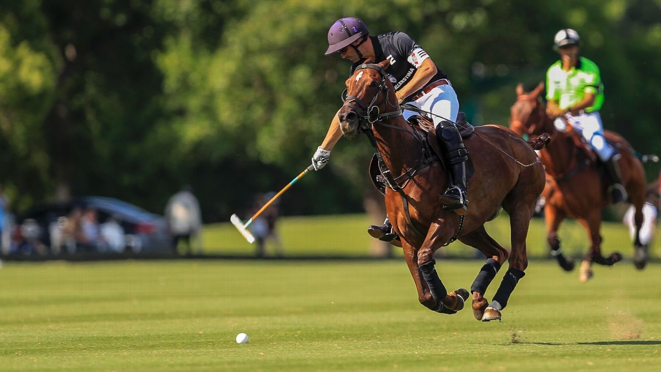 ELLERSTINA 12  LA DOLFINA 11