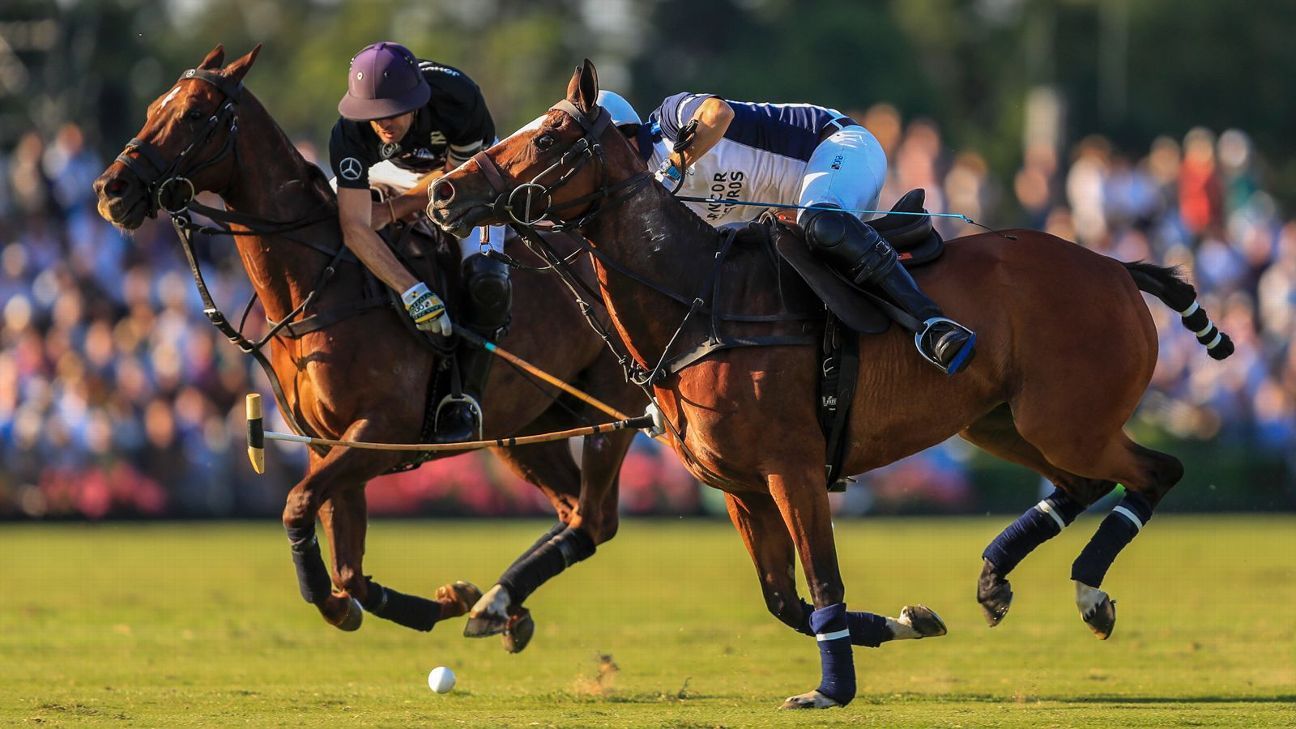 ELLERSTINA 12  LA DOLFINA 11