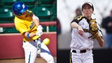 Hofstra vs. #6 Missouri (Site 7 / Game 3): 2013 NCAA Softball Regionals