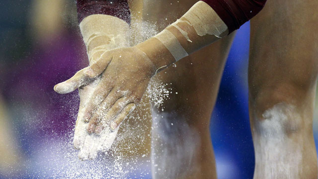 Pro Gymnastics Challenge