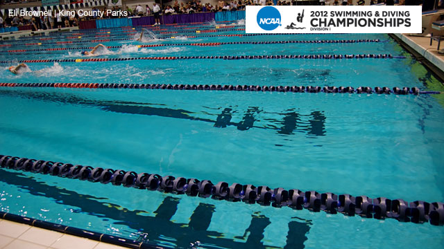 NCAA Men's Swimming & Diving Championships presented by Enterprise Rent-A-Car (Day 2)