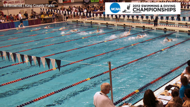 NCAA Men's Swimming & Diving Championships presented by Enterprise Rent-A-Car (Day 3)