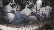 LA Kings 