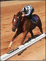 Secretariat