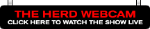Click here to watch live!