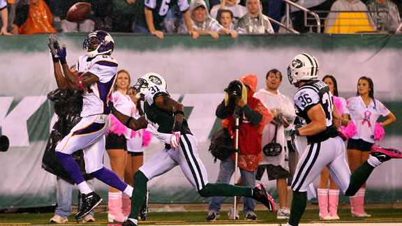 New York Jets Secondary