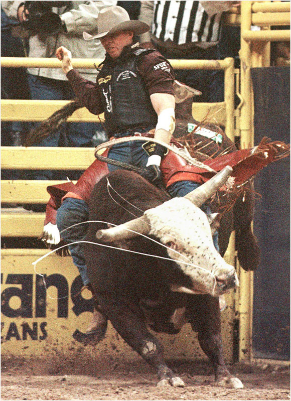 Texas Rodeo