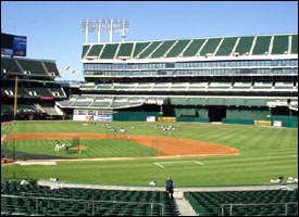 Network Associates Coliseum