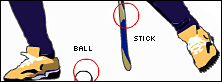 Fan guide