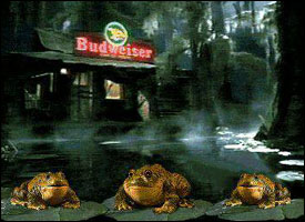 Budweiser frogs