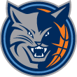 2010-2011 CHARLOTTE BOBCATS Schedule 🏀 Cool NBA Basketball Sked 🏀 NEW ‼️