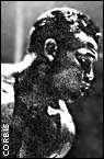 Sugar Ray Robinson