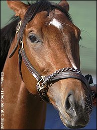 Afleet Alex