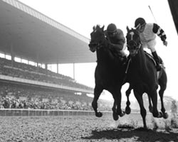 Affirmed and Alydar