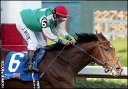 Afleet Alex